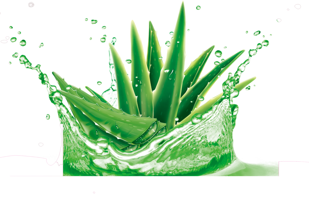 5 Natural Ways to Improve Digestion Aloe Vera