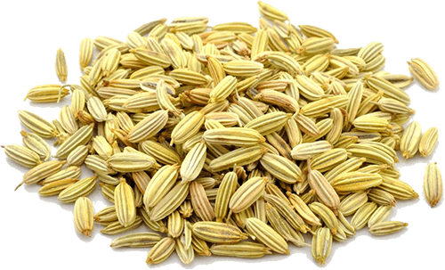 5 Natural Ways to Improve Digestion Fennel seeds
