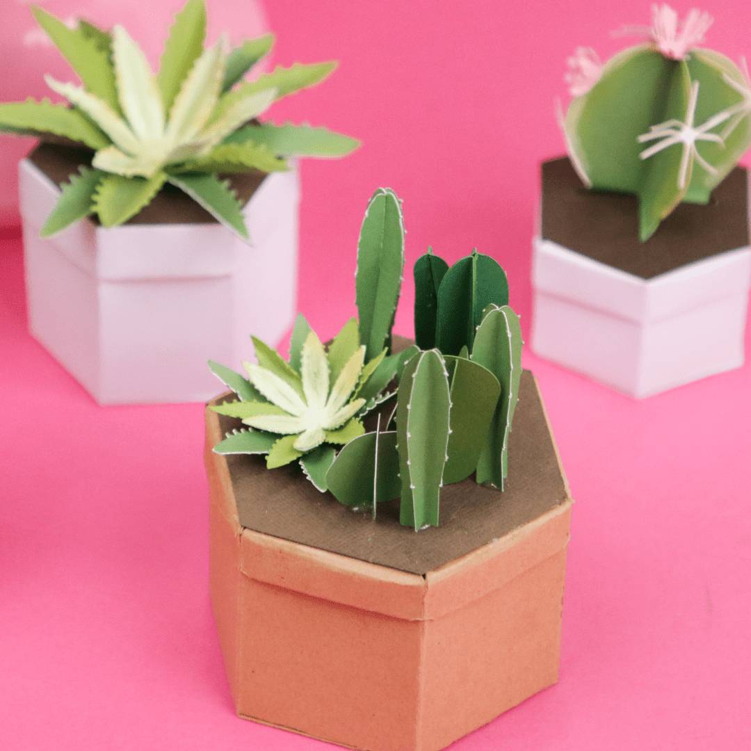 35 Cactus Crafts for Adults Image