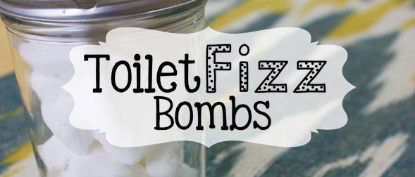 33 DIY Toilet Bombs Image
