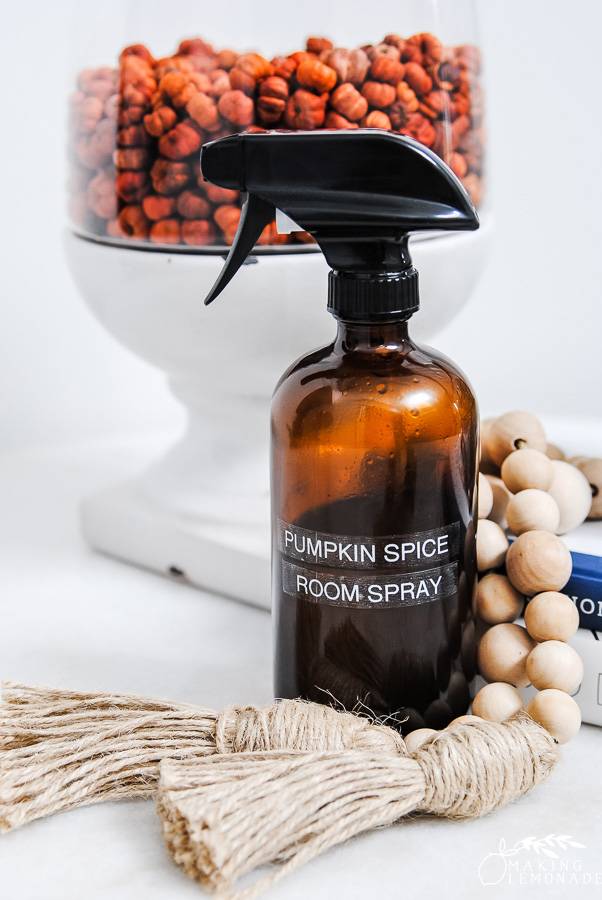 10 Cinnamon Room Spray DIY Image