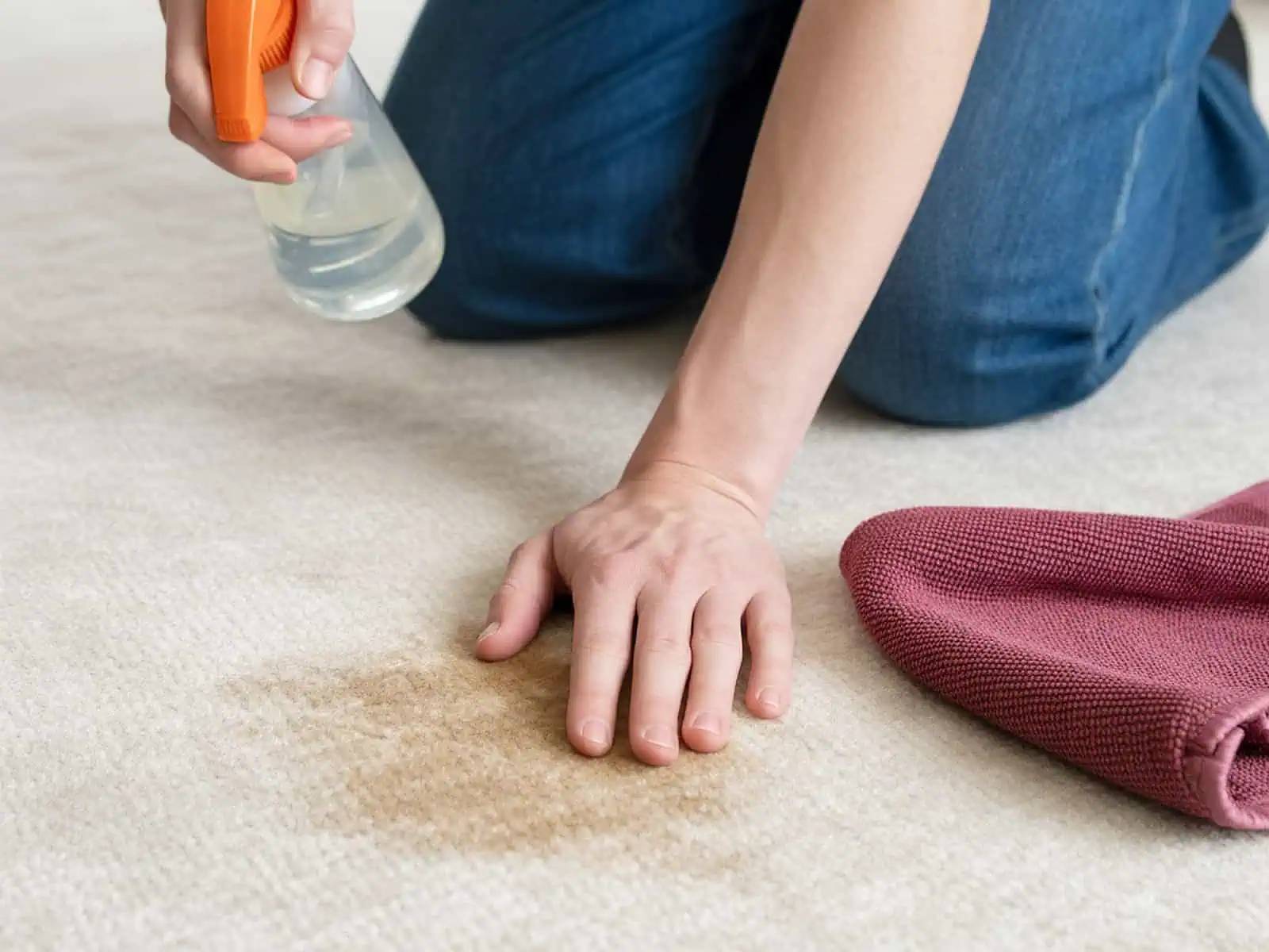 80 DIY Carpet Machine Solutions Image