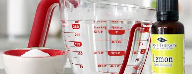 33 DIY Toilet Bombs Image