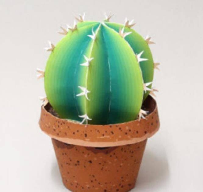 35 Cactus Crafts for Adults Image