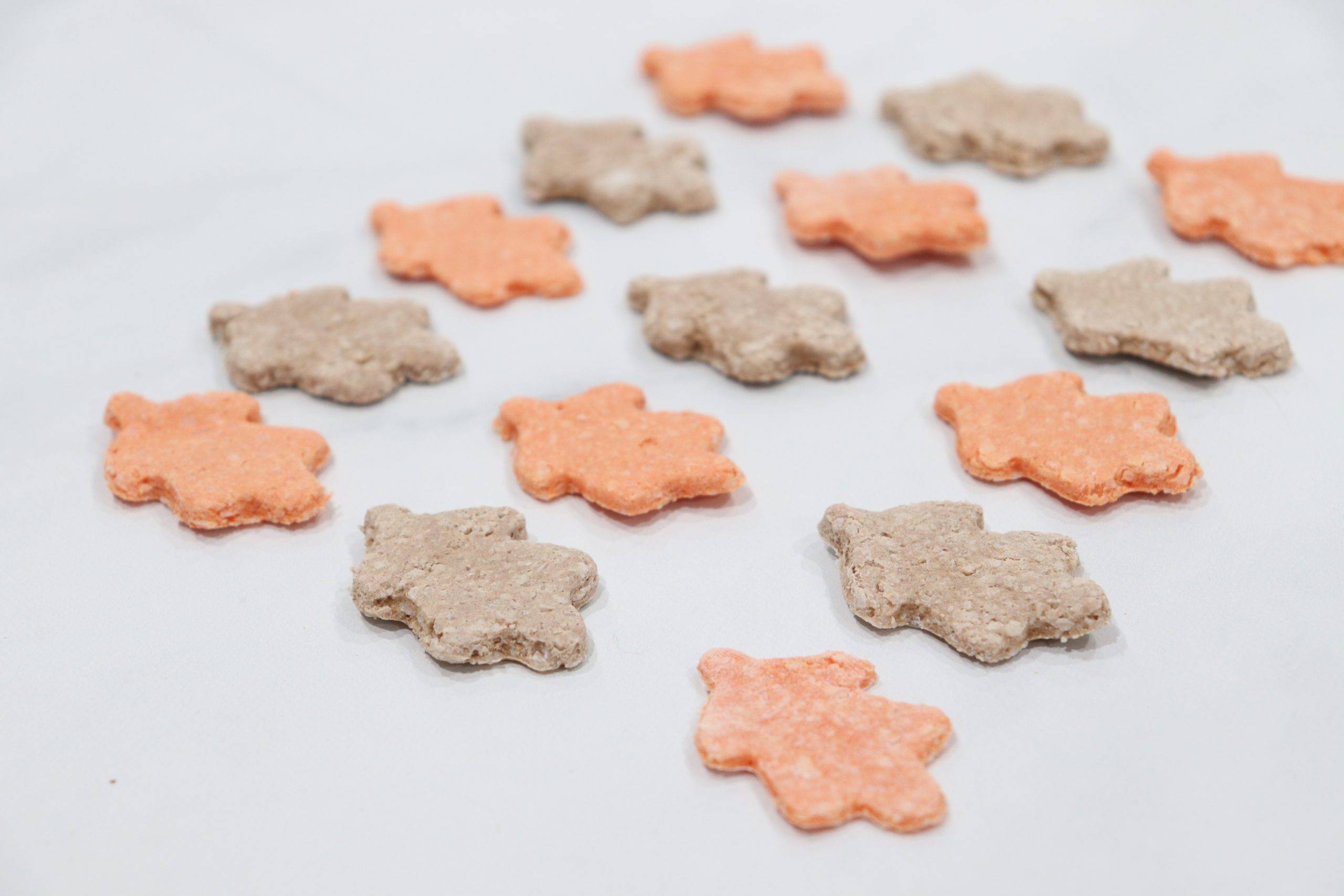 28 Salt Dough Sea Creatures Ideas Image