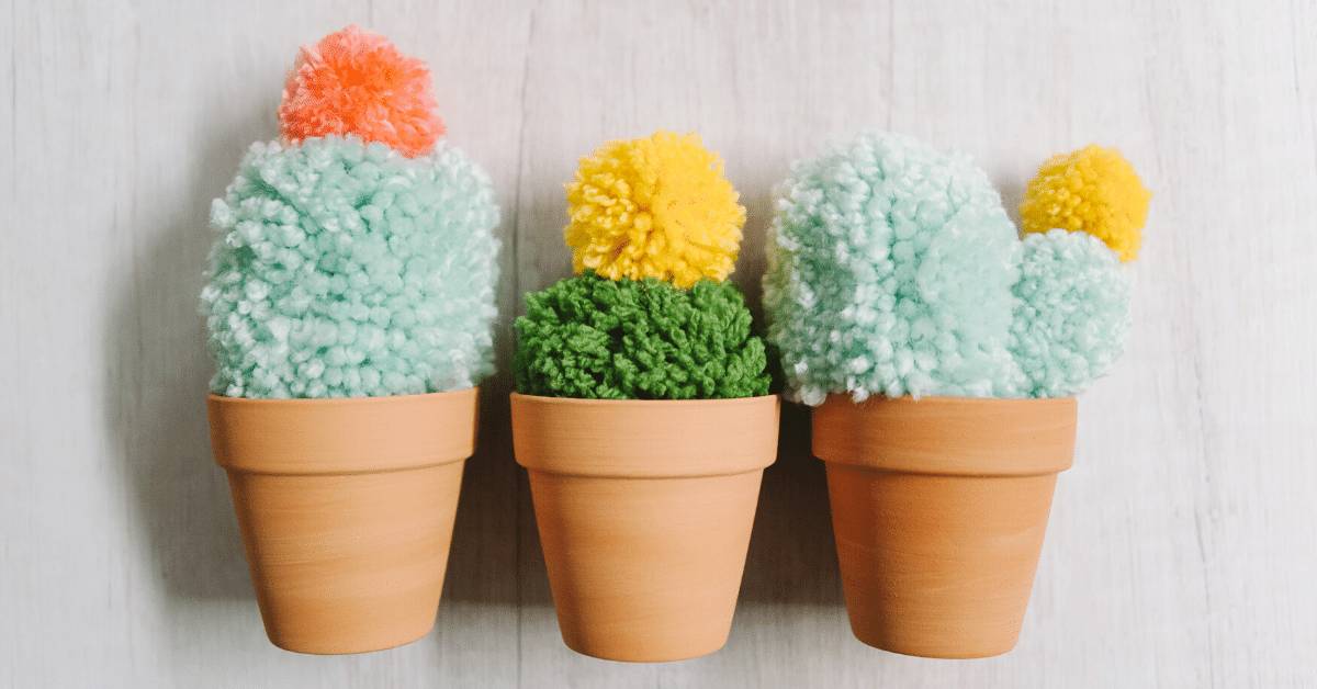 35 Cactus Crafts for Adults Image