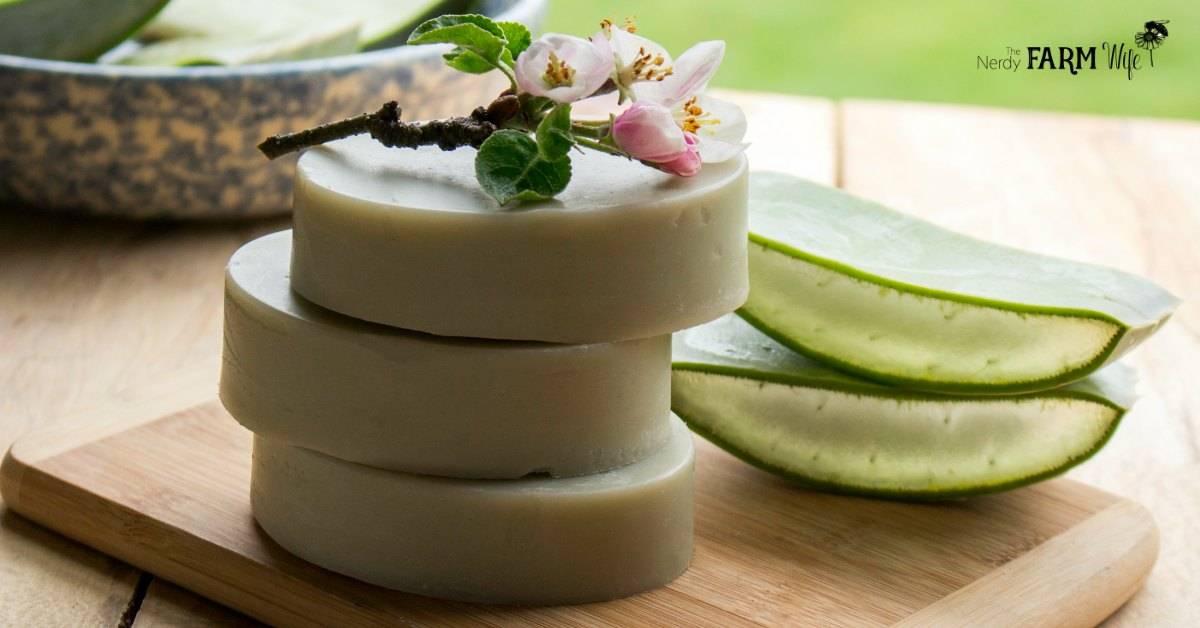 37 Homemade Soap Recipes Without Lye Image