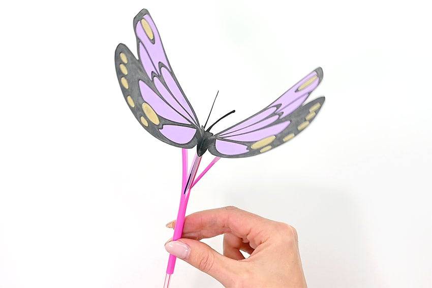 36 Colorful Butterfly Craft Ideas Image