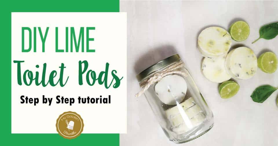 33 DIY Toilet Bombs Image