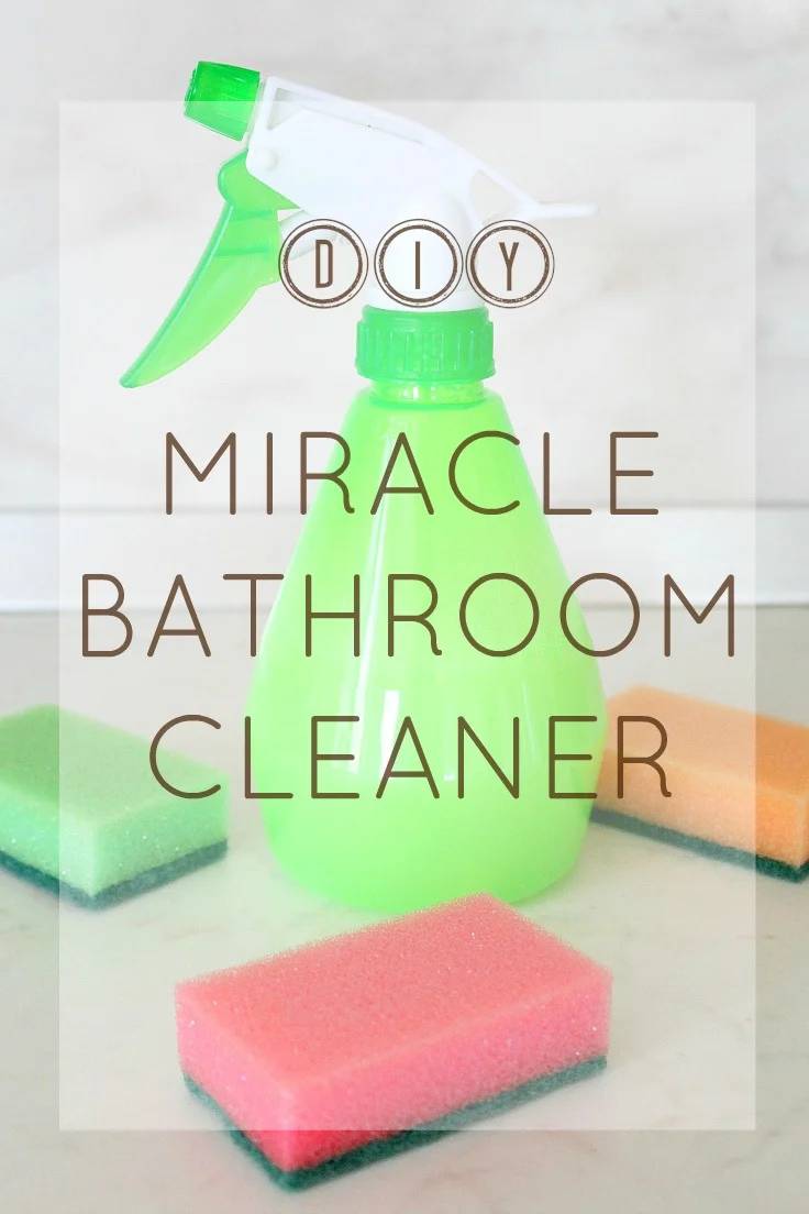 37 Daily Shower Cleaner DIY Recipes Image