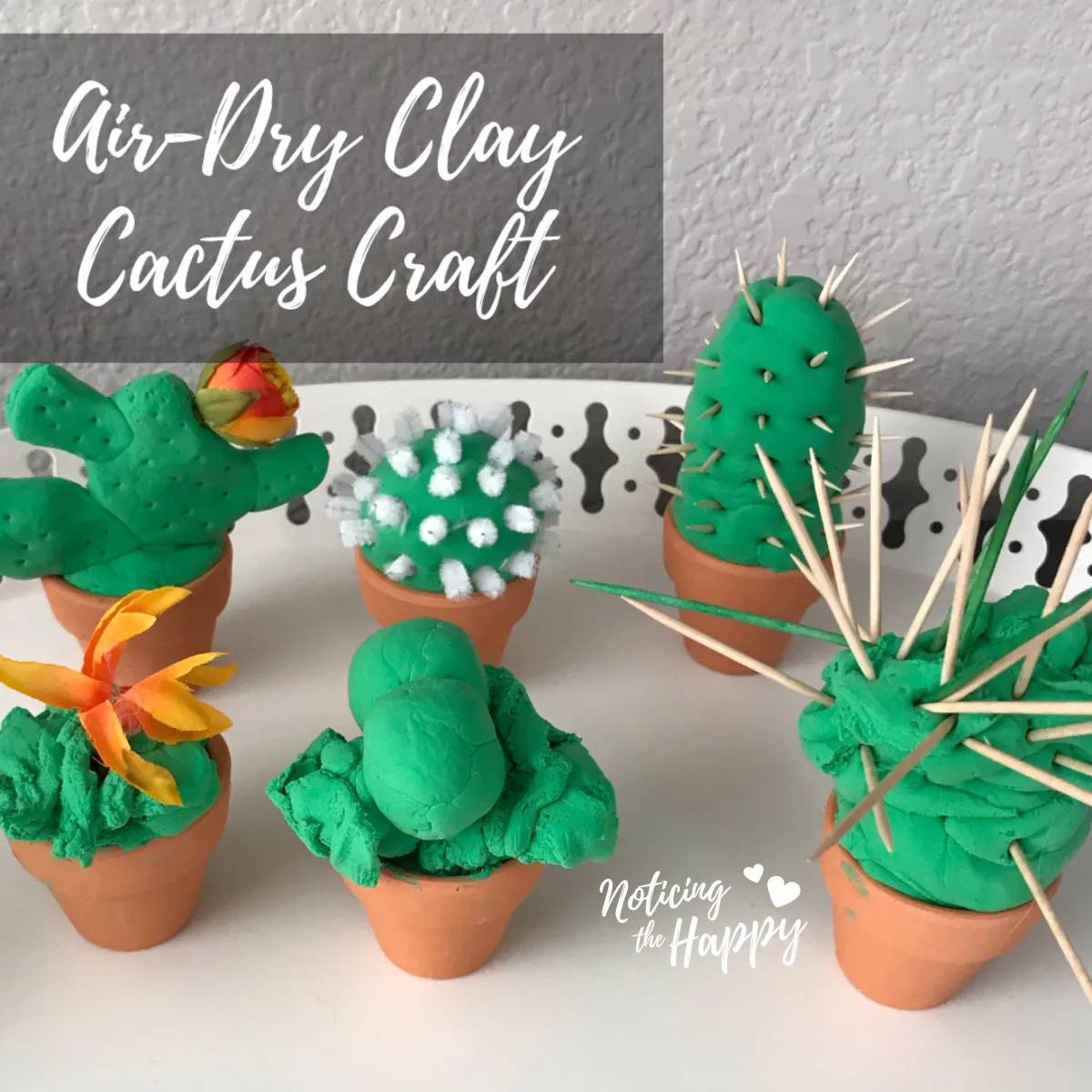 35 Cactus Crafts for Adults Image