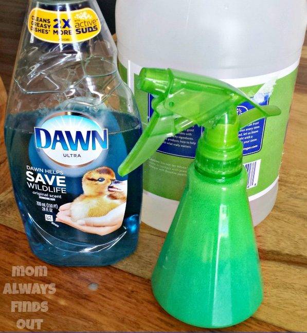 37 Daily Shower Cleaner DIY Recipes Image