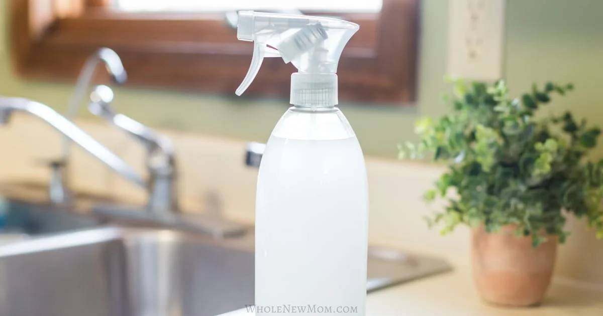 28 DIY Window Cleaner Streak Free Recipes Image