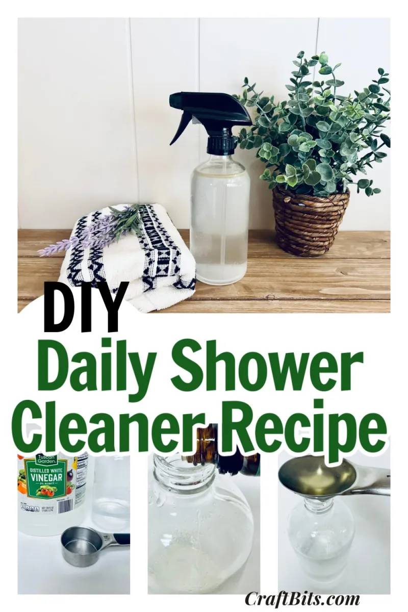 37 Daily Shower Cleaner DIY Recipes Image