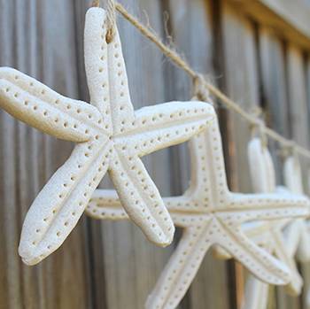 28 Salt Dough Sea Creatures Ideas Image