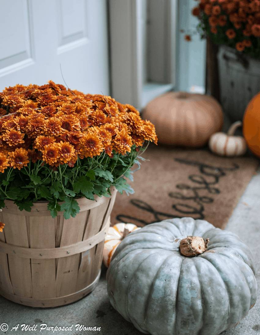 34 DIY Doormat Without Cricut Ideas Image