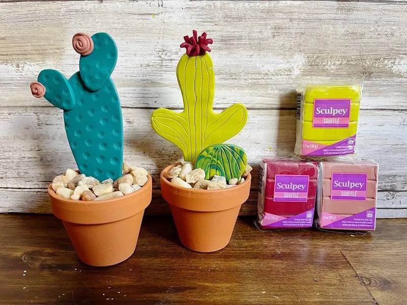 35 Cactus Crafts for Adults Image