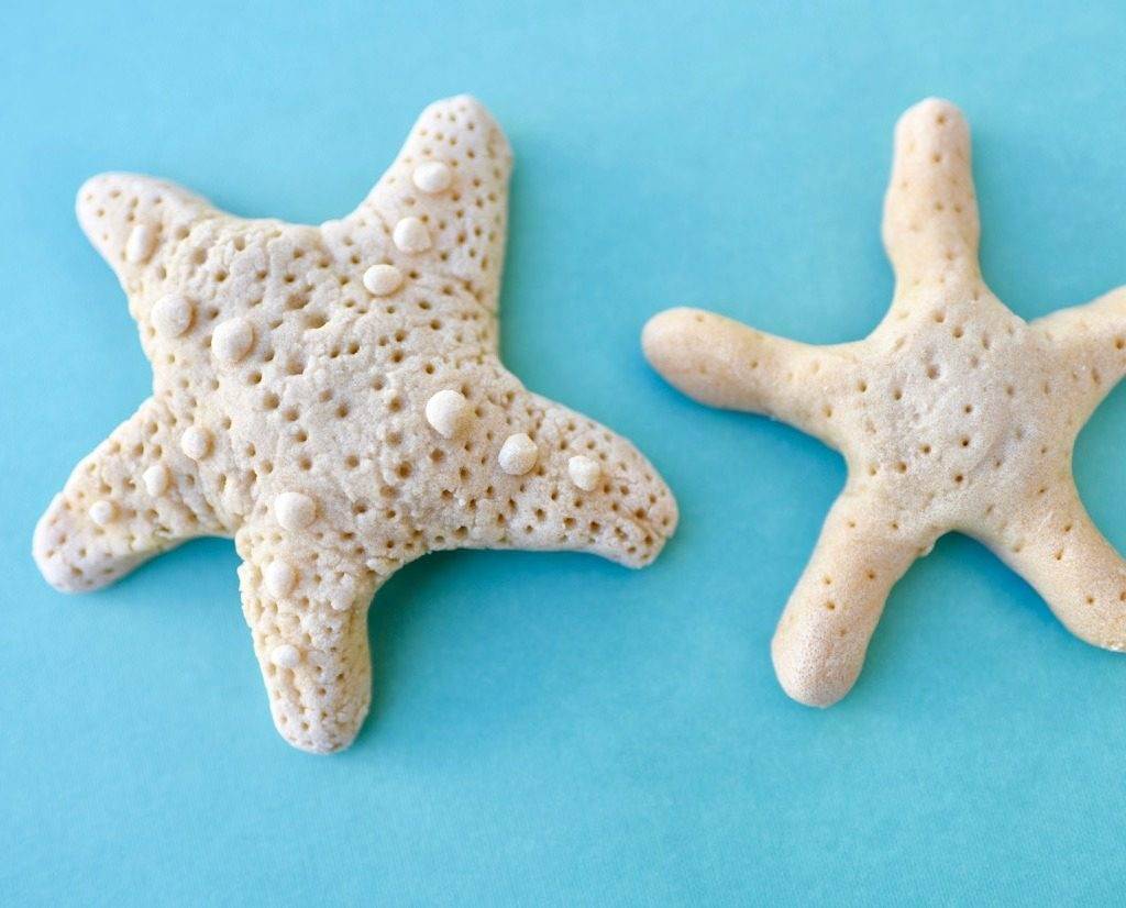 28 Salt Dough Sea Creatures Ideas Image