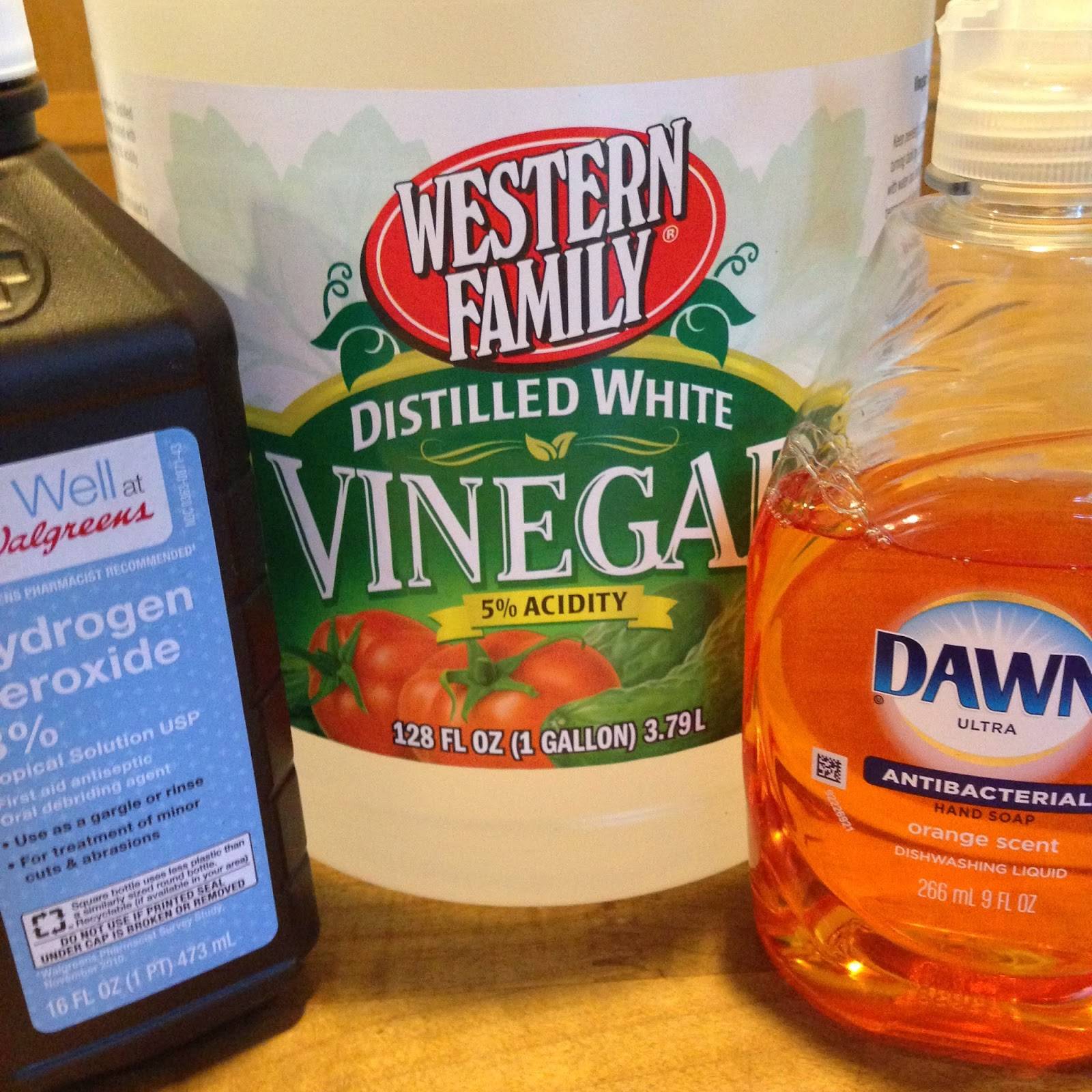 80 DIY Carpet Machine Solutions Image