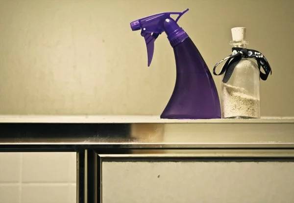 37 Daily Shower Cleaner DIY Recipes Image