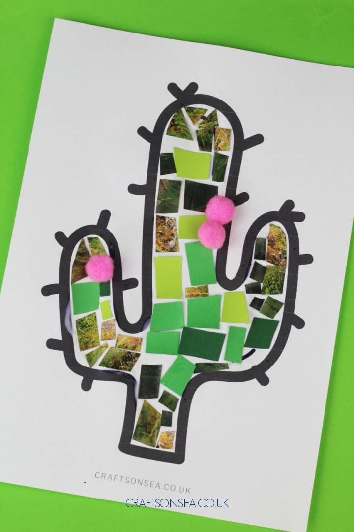 35 Cactus Crafts for Adults Image