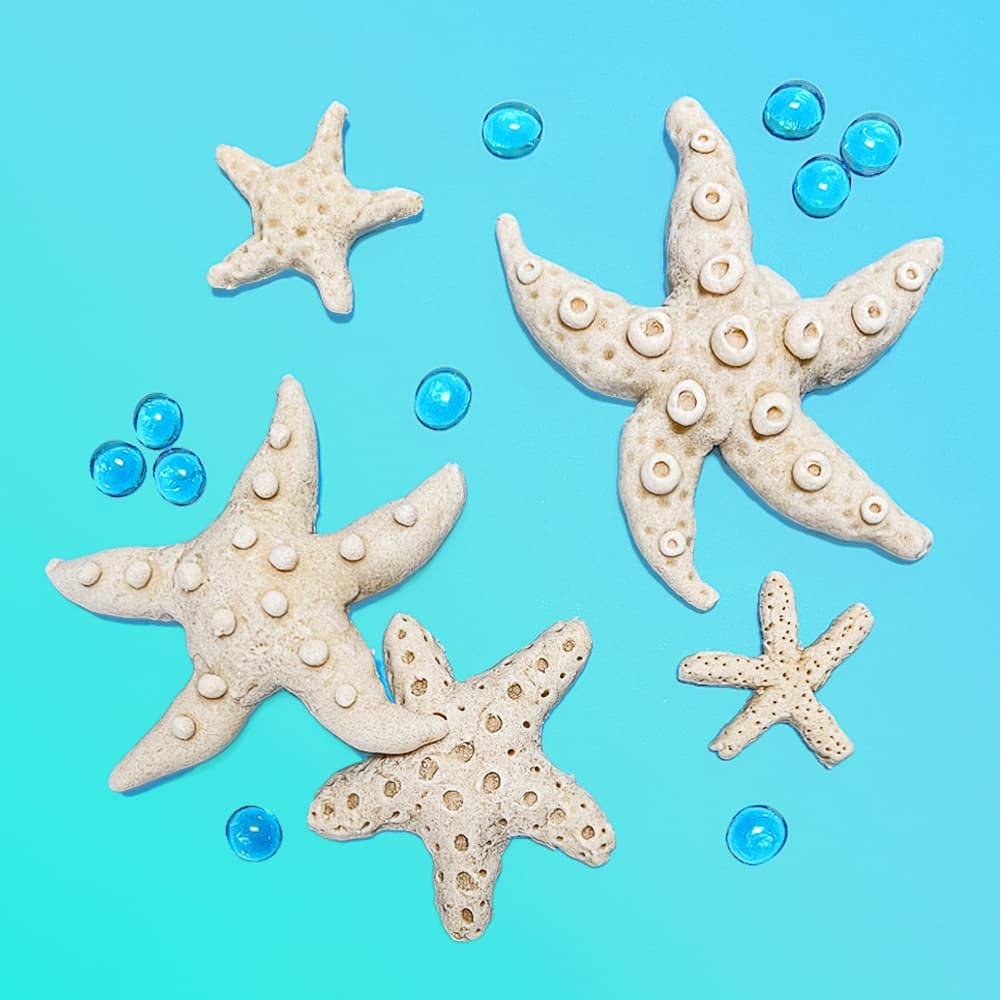 28 Salt Dough Sea Creatures Ideas Image