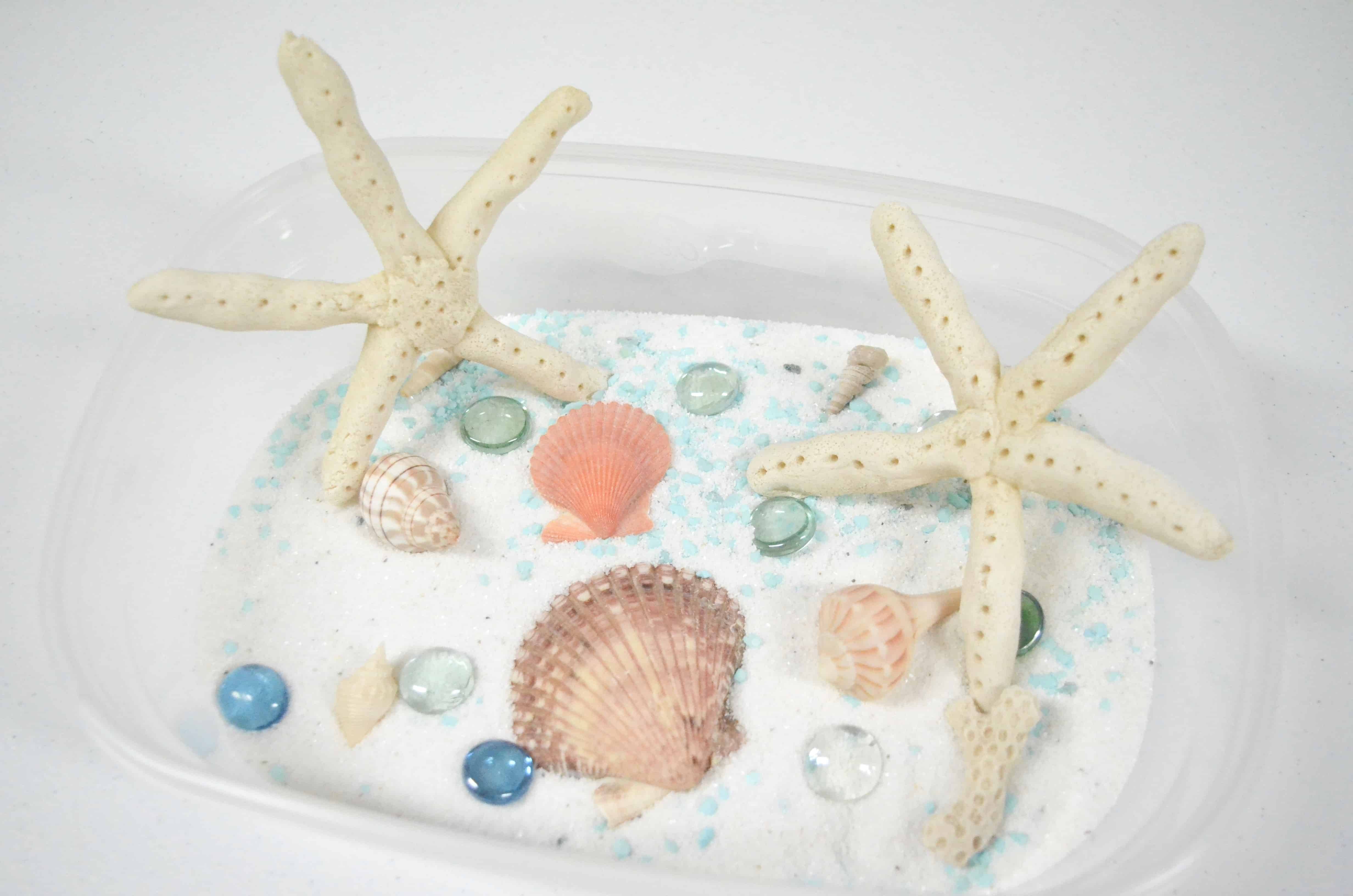28 Salt Dough Sea Creatures Ideas Image