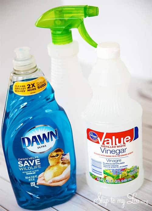 34 DIY Tile Cleaner Recipes Image