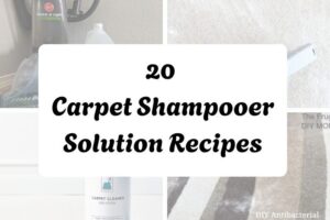 20 Carpet Shampooer Solution Recipes httpshelthdestiny.comcarpet-shampooer-solution-recipes_20251127083414