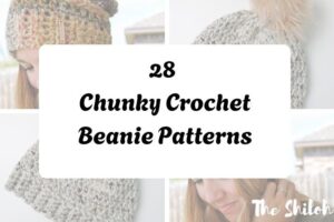 httpshelthdestiny.comchunky-crochet-beanie-patterns_20251127090501