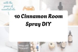 httpshelthdestiny.comcinnamon-room-spray-diy_20251127093020