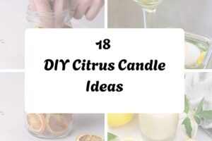 httpshelthdestiny.comcitrus-candle-diy_20251127092725