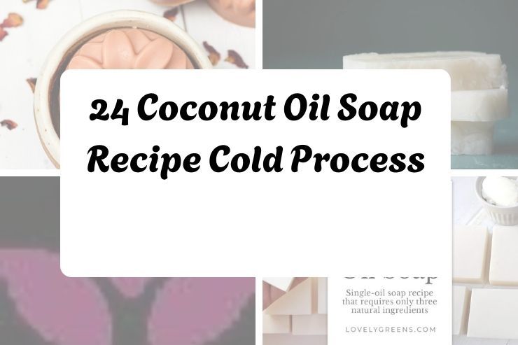 24 Coconut Oil Soap Recipe Cold Process