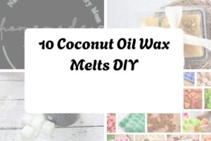 httpshelthdestiny.comcoconut-oil-wax-melts-diy_20251127092339