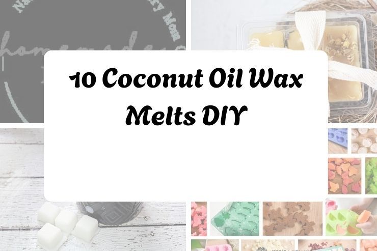 10 Coconut Oil Wax Melts DIY