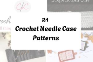 httpshelthdestiny.comcrochet-needle-case-patterns_20251127090412