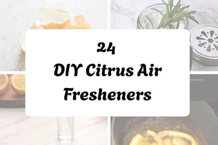 24 DIY Citrus Air Fresheners