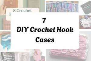 httpshelthdestiny.comdiy-crochet-hook-cases_20251127083451
