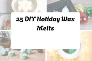 httpshelthdestiny.comdiy-holiday-wax-melts_20251127091435