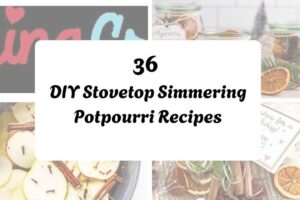 36 DIY Stovetop Simmering Potpourri Recipes httpshelthdestiny.comdiy-stovetop-simmering-potpourri-recipes_20251127083719
