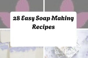 httpshelthdestiny.comeasy-soap-making-recipes_20251127092058