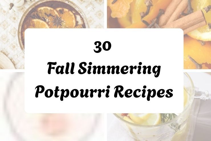 30 Fall Simmering Potpourri Recipes