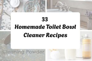 httpshelthdestiny.comhomemade-toilet-bowl-cleaner-recipes_20251127083459