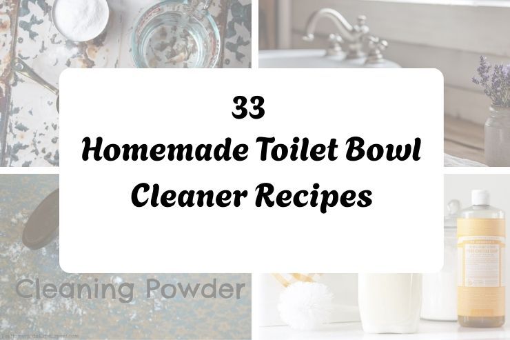 33 Homemade Toilet Bowl Cleaner Recipes