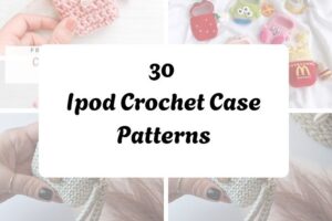 30 Ipod Crochet Case Patterns httpshelthdestiny.comipod-crochet-case-patterns_20251127090555