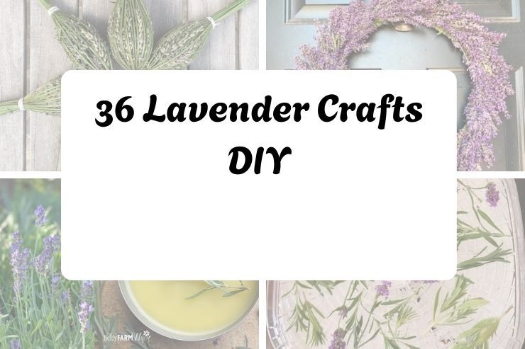 36 Lavender Crafts DIY