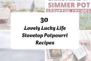 30 Lovely Lucky Life Stovetop Potpourri Recipes httpshelthdestiny.comlovely-lucky-life-stovetop-potpourri-recipes_20251127083815