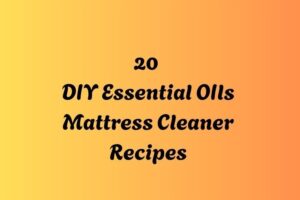 httpshelthdestiny.commattress-cleaner-diy-essential-oils_20251127092604