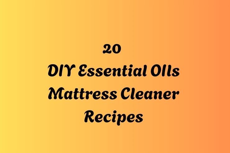 20 Mattress Cleaner DIY Essential Oils