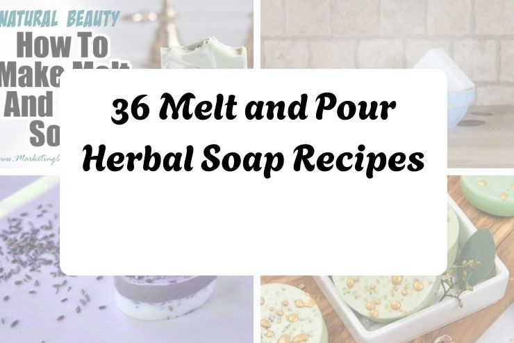 36 Melt and Pour Herbal Soap Recipes